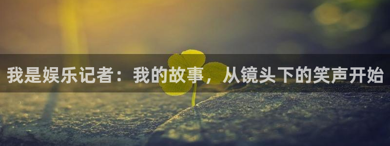 2元彩票招商：我是娱乐记者：我的故事，从镜头下的笑声开始