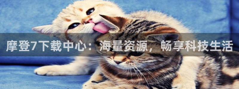 2元彩票体育游戏：摩登7下载中心：海量资源，畅享科技生活