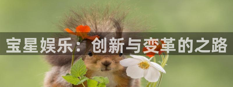 2元彩票体育和杏耀是哪个公司的：宝星娱乐：创新与变革的之路