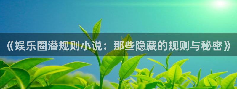 2元彩票vk：《娱乐圈潜规则小说：那些隐藏的规则与秘密》