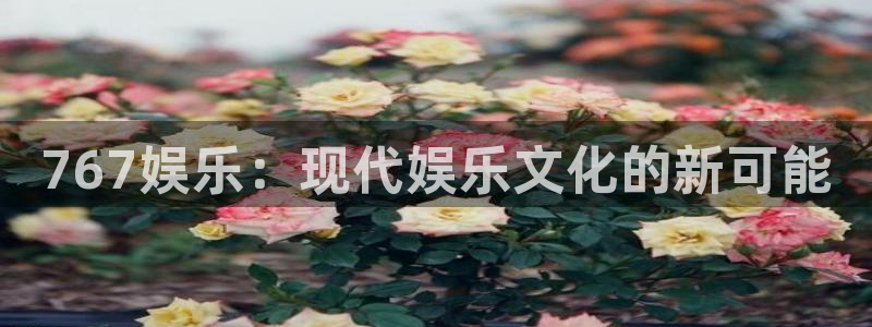 2元彩票体育在线注册：767娱乐：现代娱乐文化的新可能