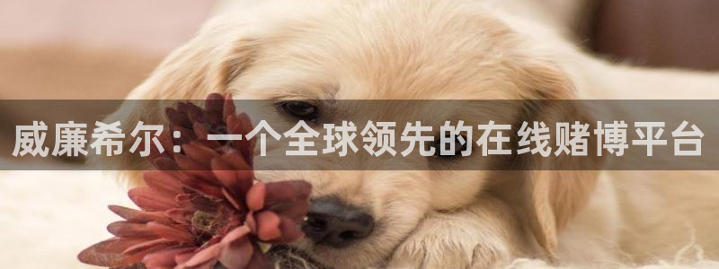 2元彩票体育游戏：威廉希尔：一个全球领先的在线赌博平台