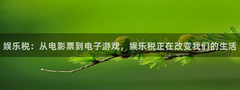 2元彩票注册：娱乐税：从电影票到电子游戏，娱乐税正在改变我们的生活