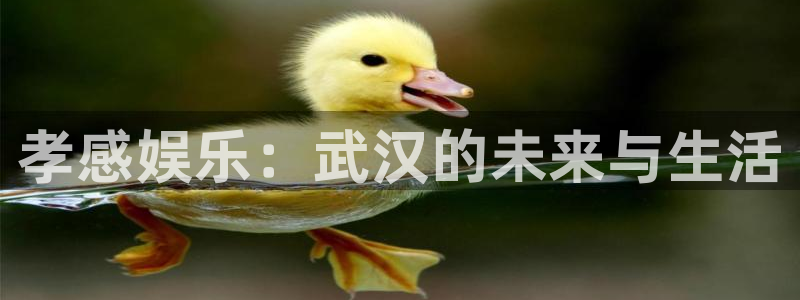 福建2元彩票机电股份公司：孝感娱乐：武汉的未来与生活