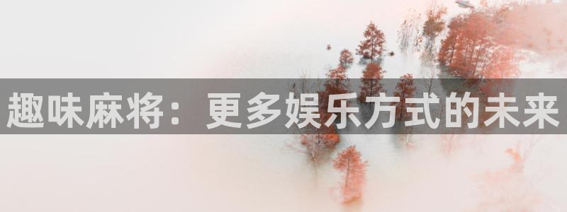2元彩票平台注册入口：趣味麻将：更多娱乐方式的未来