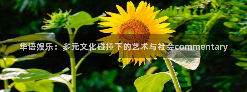 2元彩票3平台登录注册：华语娱乐：多元文化碰撞下的艺术与社会commentary