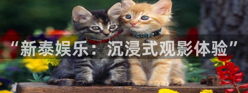 2元彩票2登录：“新泰娱乐：沉浸式观影体验”