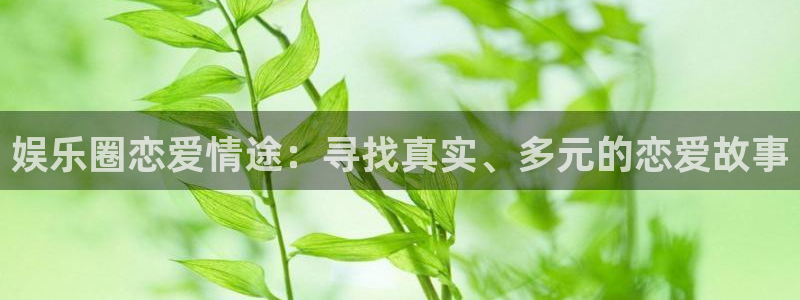 2元彩票体育f开户：娱乐圈恋爱情途：寻找真实、多元的恋爱故事