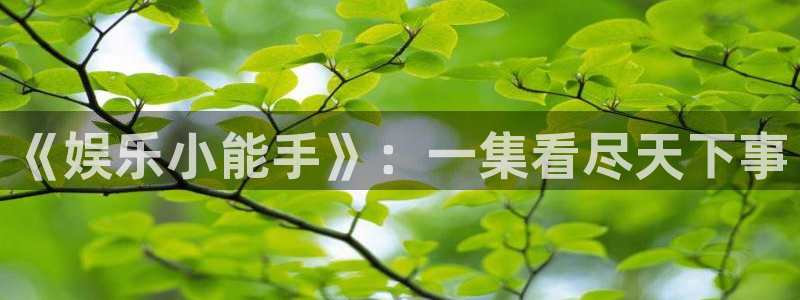 成都2元彩票电子有限公司：《娱乐小能手》：一集看尽天下事