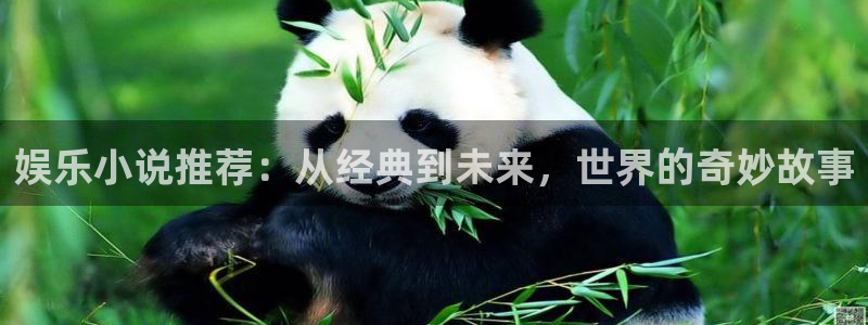 佛山市南海2元彩票机电仪器有限公司：娱乐小说推荐：从经典到未来，世界的奇妙故事
