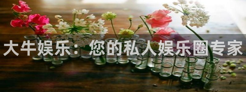 2元彩票电子有限公司：大牛娱乐：您的私人娱乐圈专家