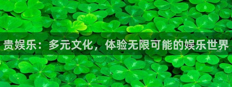 2元彩票代理：贵娱乐：多元文化，体验无限可能的娱乐世界