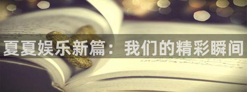 2元彩票能源：夏夏娱乐新篇：我们的精彩瞬间