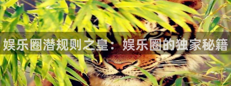 2元彩票2平台登录：娱乐圈潜规则之皇：娱乐圈的独家秘籍