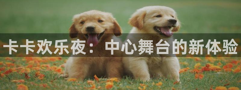 2元彩票2代理注册：卡卡欢乐夜：中心舞台的新体验