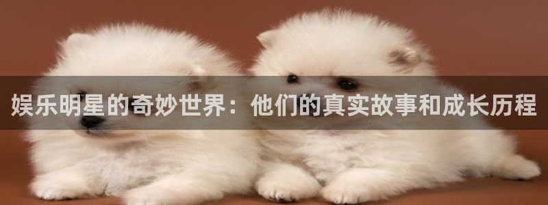 2元彩票体育凯捷登陆：娱乐明星的奇妙世界：他们的真实故事和成长历程