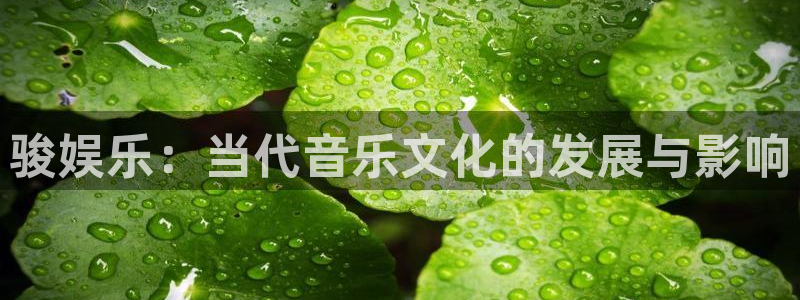 2元彩票官网：骏娱乐：当代音乐文化的发展与影响