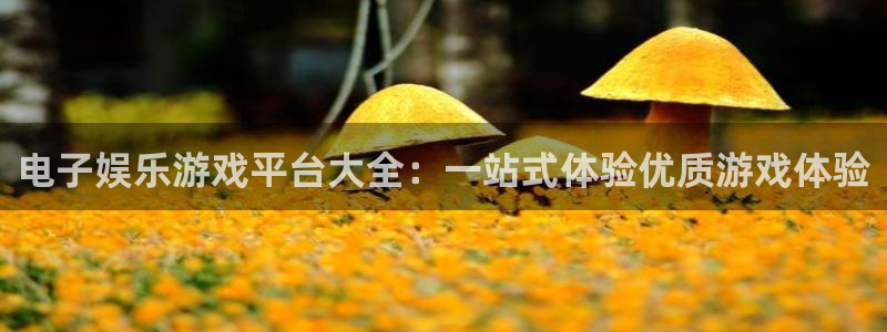 2元彩票体育注册登录入口：电子娱乐游戏平台大全：一站式体验优质游戏体验