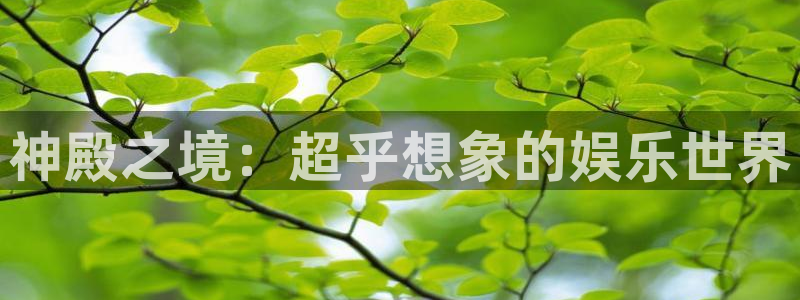 2元彩票2注册：神殿之境：超乎想象的娱乐世界
