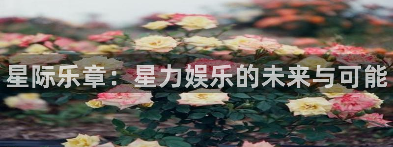 2元彩票体育官网入口登录：星际乐章：星力娱乐的未来与可能