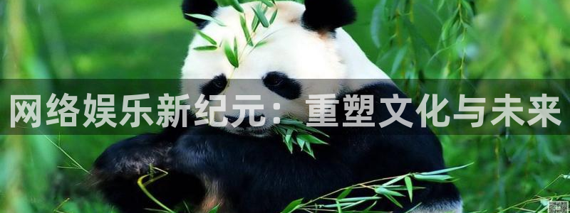 2元彩票官网：网络娱乐新纪元：重塑文化与未来