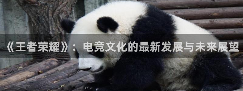 2元彩票体育代理申请流程：《王者荣耀》：电竞文化的最新发展与未来展望
