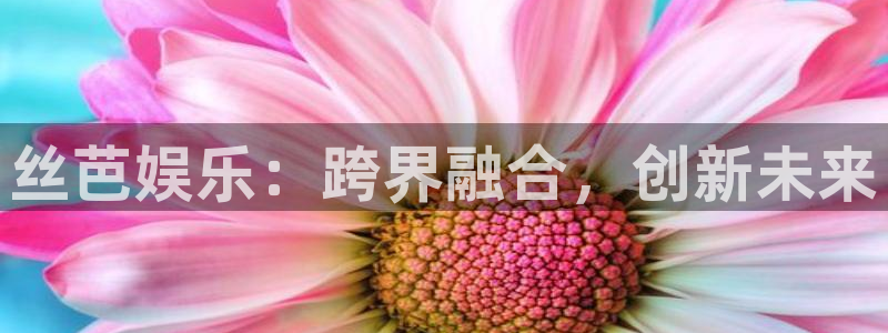2元彩票平台开户：丝芭娱乐：跨界融合，创新未来