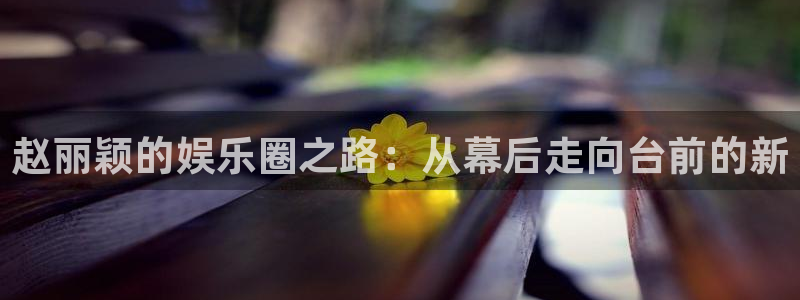 2元彩票招商：赵丽颖的娱乐圈之路：从幕后走向台前的新
