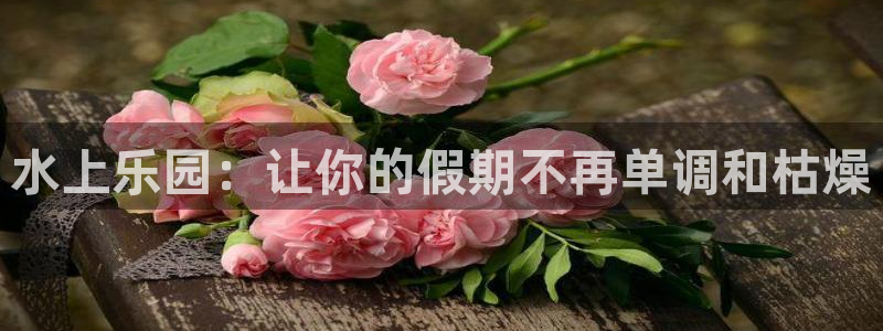 2元彩票2平台：水上乐园：让你的假期不再单调和枯燥